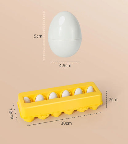 Eggsplore™ Shapes & Colors!