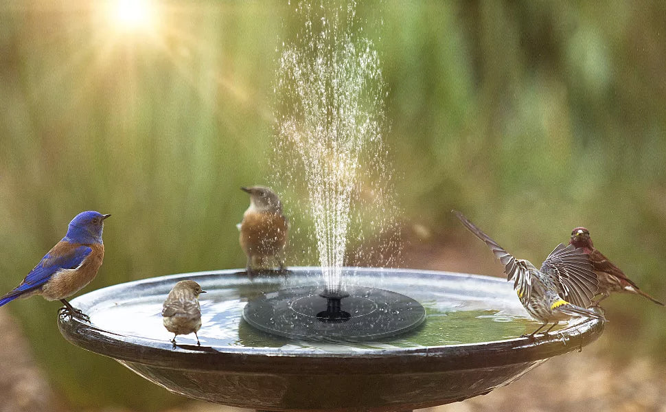 Solar Serenity Fountain